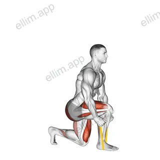 Resistance Band Split Squat exercise targeting Thighs and Gluteus Maximus