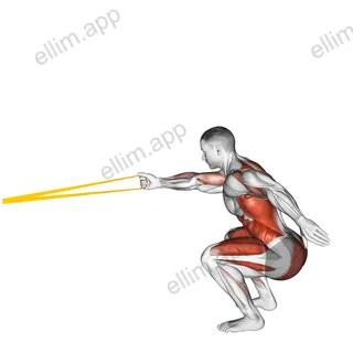 Resistance Band Squat with Single Arm Row exercise targeting Back
