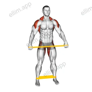 Resistance Band Standing Down Warming-up exercise targeting Back and Hips