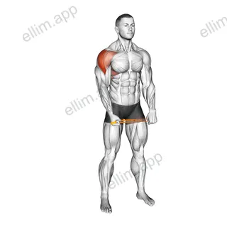 Resistance Band Standing Single Arm Lateral Raise exercise targeting Shoulders