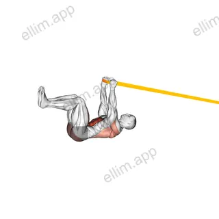 Resistance Band Upper Body Dead Bug exercise targeting Iliopsoas and Rectus Abdominis