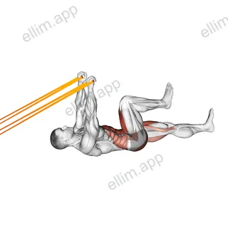 Resistance Band Upper Body Lying Air Bike exercise targeting Waist