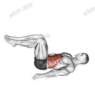 Reverse Crunch exercise targeting Waist and Rectus Abdominis