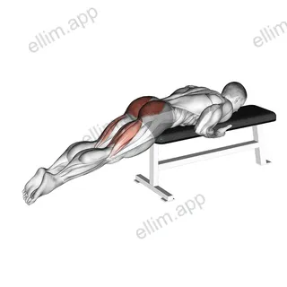 Reverse Hyper on Flat Bench exercise targeting Hips and Gluteus Maximus
