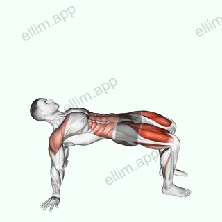 Reverse Plank with Leg Lift exercise targeting Iliopsoas and Quadriceps