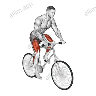 Riding Outdoor Bicycle exercise targeting Cardio