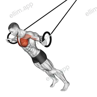 Ring Chest Fly exercise targeting Chest