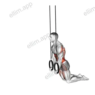 Ring Kneeling Ab RollOut exercise targeting Waist and Obliques