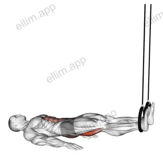 Ring Leg Curl exercise targeting Thighs