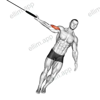 Ring One Arm Biceps Curl exercise targeting Upper Arms