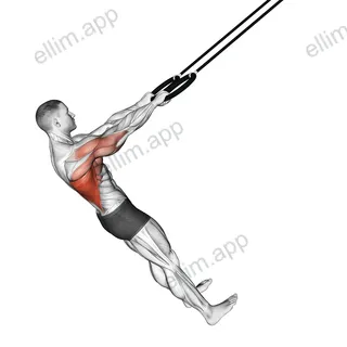 Ring Pullover exercise targeting Back