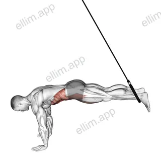 Ring Reverse Ab Rollout exercise targeting Waist