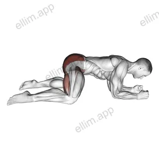 Rocking Frog Stretch exercise targeting Hips and Gluteus Maximus