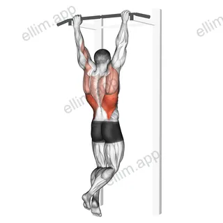 Rocky Pull Up Pulldown exercise targeting Back