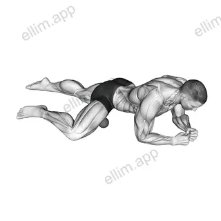 Roll Ball Adductors exercise targeting Hips