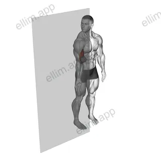 Roll Ball Bicep Brachii exercise targeting Upper Arms