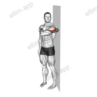 Roll Ball Deltoid Posterior exercise targeting Shoulders and Deltoid Posterior