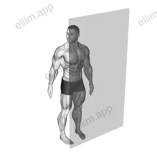 Roll Ball Diaphragm exercise targeting Waist