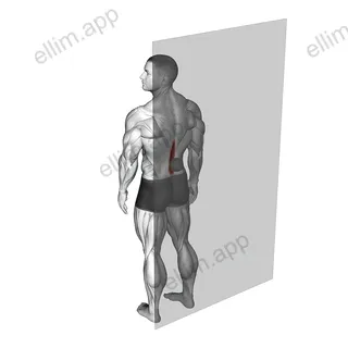 Roll Ball Erector Spinae exercise targeting Hips