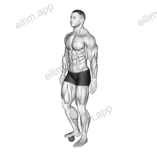 Roll Ball Foot exercise targeting Calves