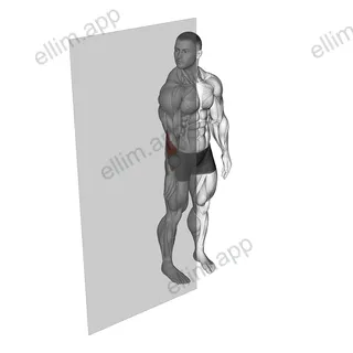 Roll Ball Forearm Extensors exercise targeting Forearms