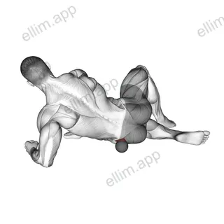 Roll Ball Gluteus Medius exercise targeting Hips