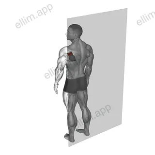 Roll Ball Infraspinatus exercise targeting Back