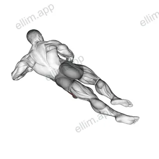 Roll Ball Lateral Vastus exercise targeting Thighs