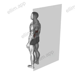 Roll Ball Latissimus Dorsi exercise targeting Back