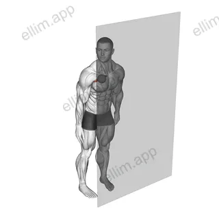 Roll Ball Pectoralis Major - Clavicular exercise targeting Chest