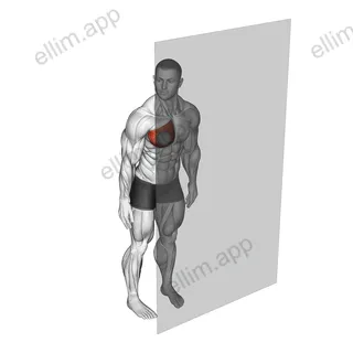 Roll Ball Pectoralis Major - Sternal exercise targeting Chest