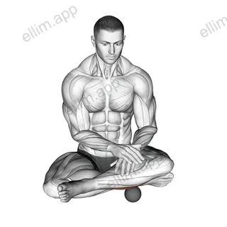 Roll Ball Peroneus exercise targeting Calves