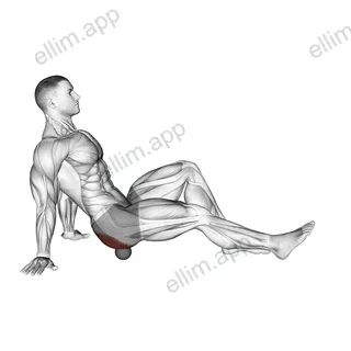 Roll Ball Piriformis exercise targeting Hips