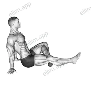 Roll Ball Popliteal exercise targeting Thighs