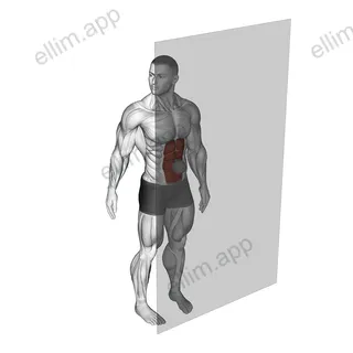 Roll Ball Rectus Abdominis exercise targeting Waist