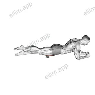 Roll Ball Rectus Femoris exercise targeting Thighs