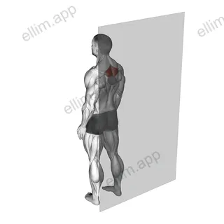 Roll Ball Rhomboid exercise targeting Back