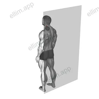 Roll Ball Scapula Levator exercise targeting Back