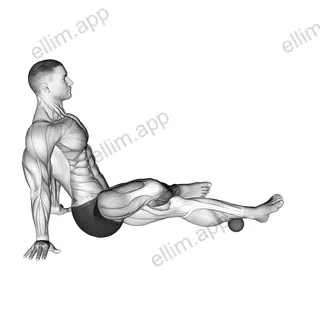 Roll Ball Tibialis Posterior exercise targeting Calves
