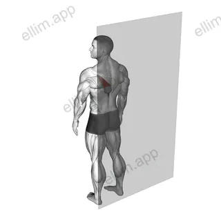 Roll Ball Trapezius Lower exercise targeting Back
