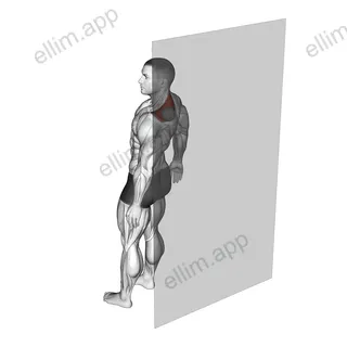 Roll Ball Trapezius Upper exercise targeting Back