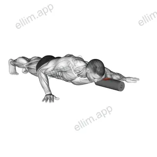 Roll Biceps Lying on Floor exercise targeting Upper Arms