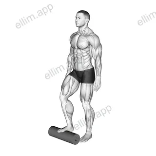 Roll Foot exercise targeting Calves