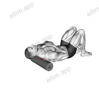 Roll Middle Back Lying on Floor exercise targeting Back