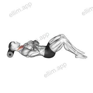 Roll Neck Decompress Lying on Floor exercise targeting Neck