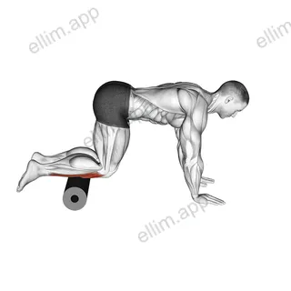 Roll Tibialis Anterior exercise targeting Calves