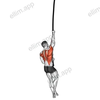 Rope Climb exercise targeting Back and Infraspinatus