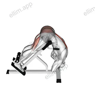 Rounded Back Extension exercise targeting Hips