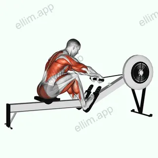 Rowing (with rowing machine) exercise targeting Cardio