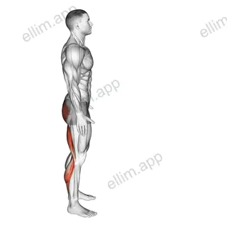 Runners Stretch exercise targeting Thighs and Gastrocnemius